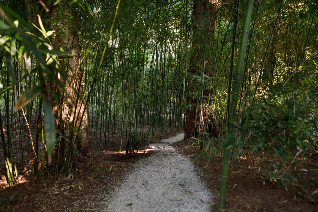 Finca La Peñiga Mazcuerras Exterior foto